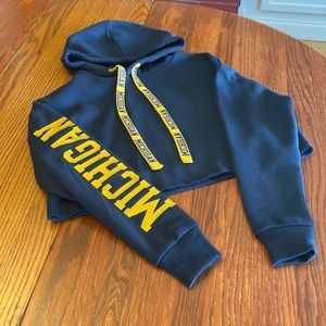 Hype and Vice University of Michigan Crop Hoodie XS